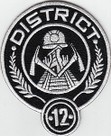 DISTRICT 12